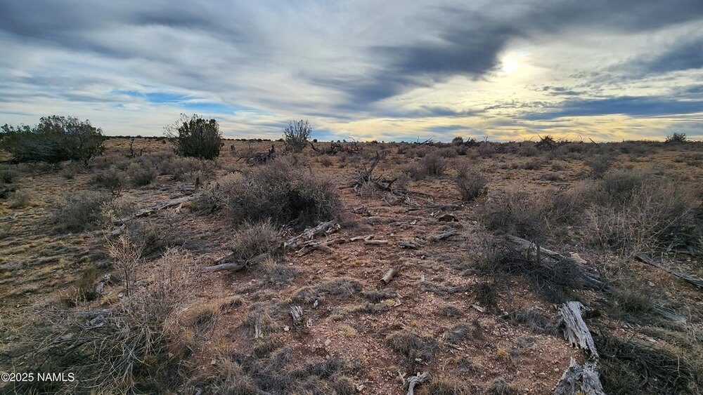 Photo of Mobile Home Lot