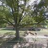 Mobile Home for Sale: 1996 Mobile Home