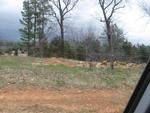 Photo of Mobile Home Lot