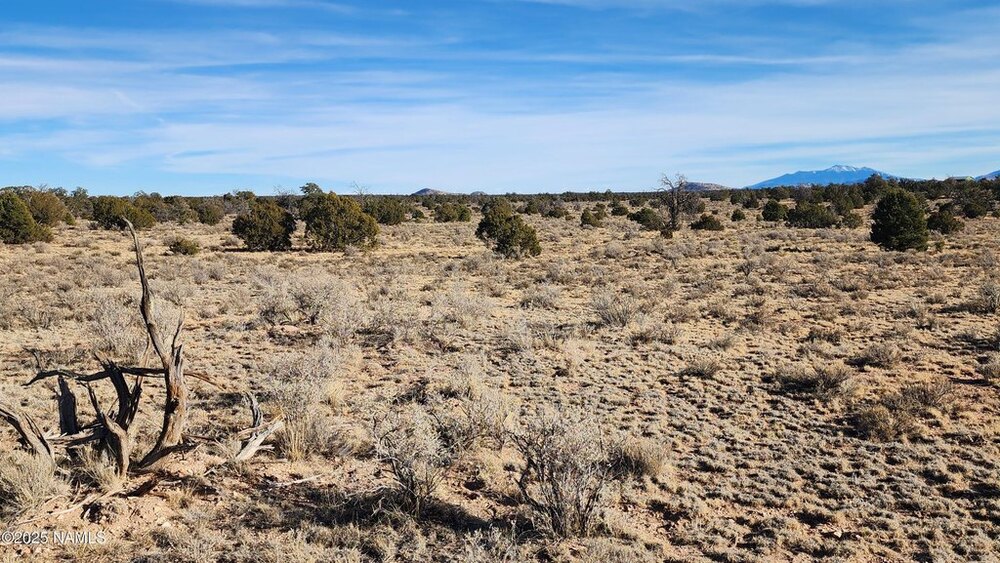 Photo of Mobile Home Lot