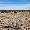 Photo of Mobile Home Lot