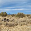 Photo of Mobile Home Lot