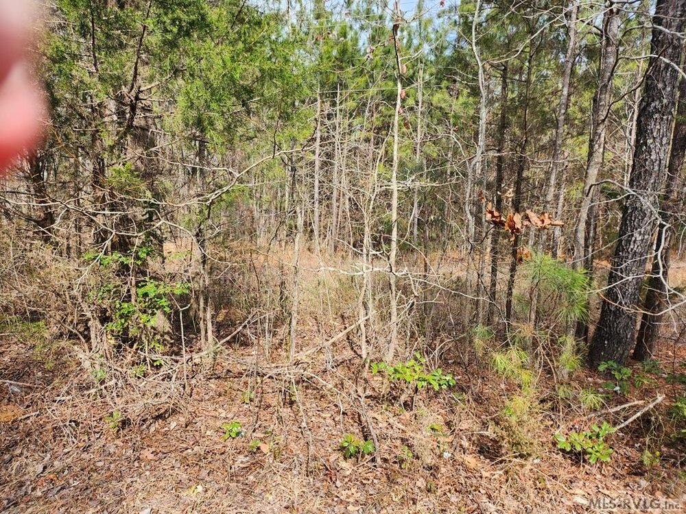 Photo of Mobile Home Lot