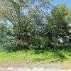 Mobile Home for Sale: 3 Bed 2 Bath 1978 Mobile Home