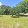 Mobile Home for Sale: 3 Bed 2 Bath 2000 Mobile Home
