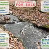 RV Lot for Sale: 37 WOODED ACRES WITH SHORT CREEK, NATURAL SPRINGS & MULTIPLE BUILDING SITES!, Linden, TN