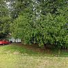 Mobile Home for Sale: 3 Bed 2 Bath 1979 Mobile Home