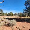 Photo of Mobile Home Lot