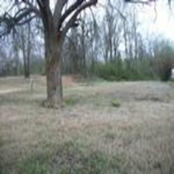 Photo of Mobile Home Lot