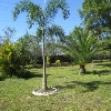 Photo of RV Lot