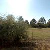 Mobile Home for Sale: 3 Bed 2 Bath 1999 Mobile Home