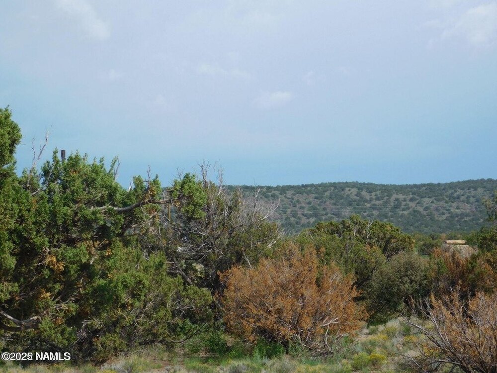 Photo of Mobile Home Lot