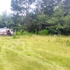 Mobile Home Lot for Sale: Cute Lot, Very Close to Town! Quiet Cul-de-Sac! Open to Offers!, Bamberg, SC