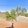 Mobile Home for Rent: 2 Bed 2 Bath 2021 Mobile Home