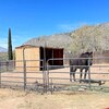 Mobile Home for Sale: 3 Bed 2 Bath 2006 Mobile Home
