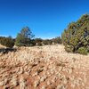 Photo of Mobile Home Lot