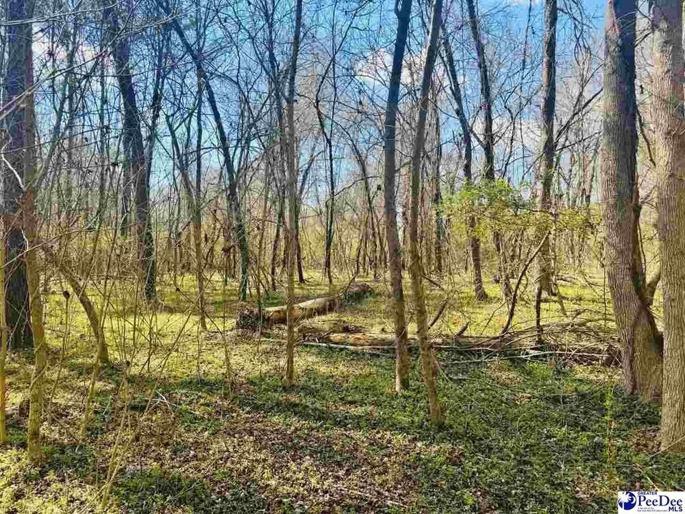 Photo of Mobile Home Lot