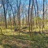 Photo of Mobile Home Lot