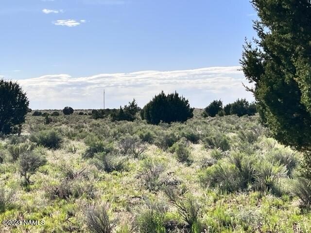 Photo of Mobile Home Lot