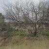 Mobile Home for Sale: 1963 Mobile Home