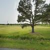 Mobile Home for Sale: 3 Bed 2 Bath 1993 Mobile Home