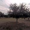 Mobile Home for Sale: 3 Bed 2 Bath 2002 Mobile Home