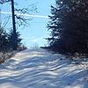 Mobile Home for Sale: Mobile Home