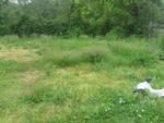 Photo of Mobile Home Lot