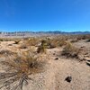 Photo of Mobile Home Lot