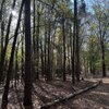 Photo of Mobile Home Lot