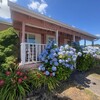 Mobile Home for Sale: 3 Bed 2 Bath 1989 Skyline