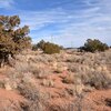Photo of Mobile Home Lot