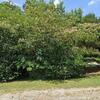 Mobile Home for Sale: 1995 Mobile Home