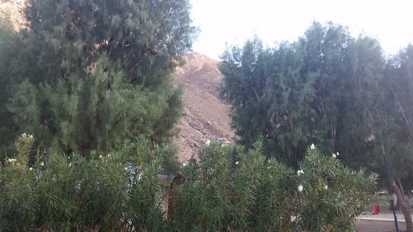 Beautiful mountains, beautiful trees