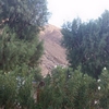 Beautiful mountains, beautiful trees