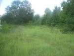 Photo of Mobile Home Lot