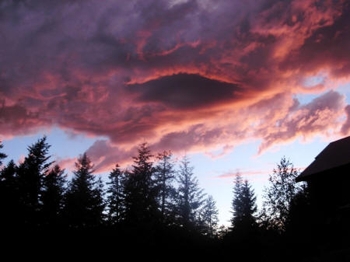 Photo of Rv Park