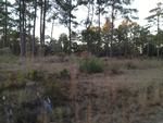 Photo of Mobile Home Lot