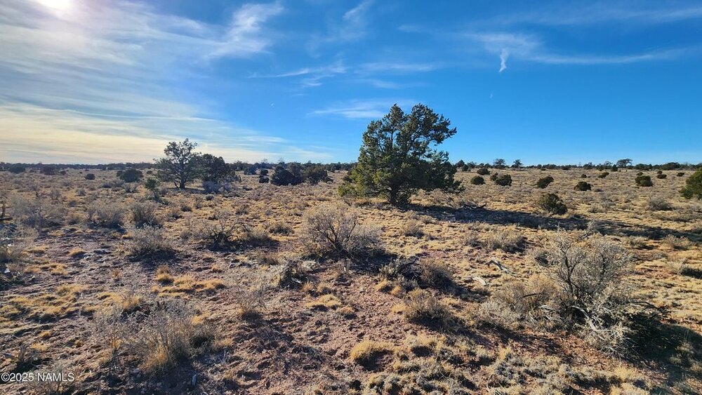 Photo of Mobile Home Lot