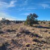 Photo of Mobile Home Lot