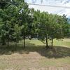 Mobile Home for Sale: 3 Bed 2 Bath 2000 Mobile Home