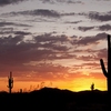 RV Park for Sale:  Mountain View RV Ranch, Amado, AZ