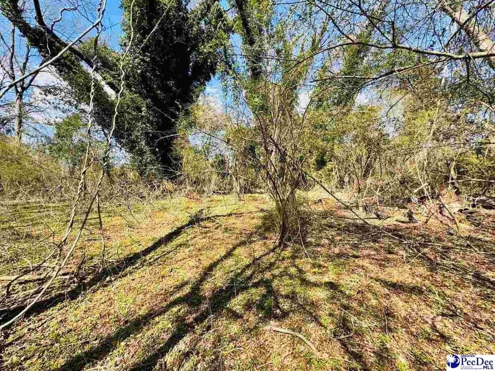 Photo of Mobile Home Lot
