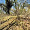 Photo of Mobile Home Lot