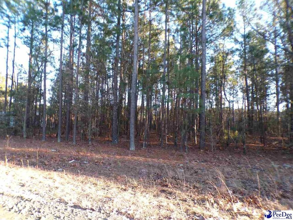 Photo of Mobile Home Lot