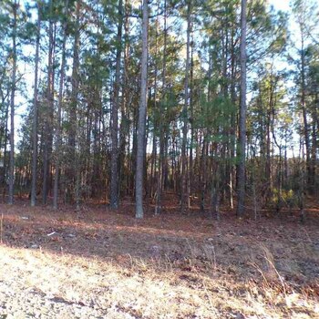 Photo of Mobile Home Lot
