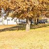 Mobile Home for Sale: 3 Bed 2 Bath 1998 Mobile Home