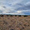 Photo of Mobile Home Lot