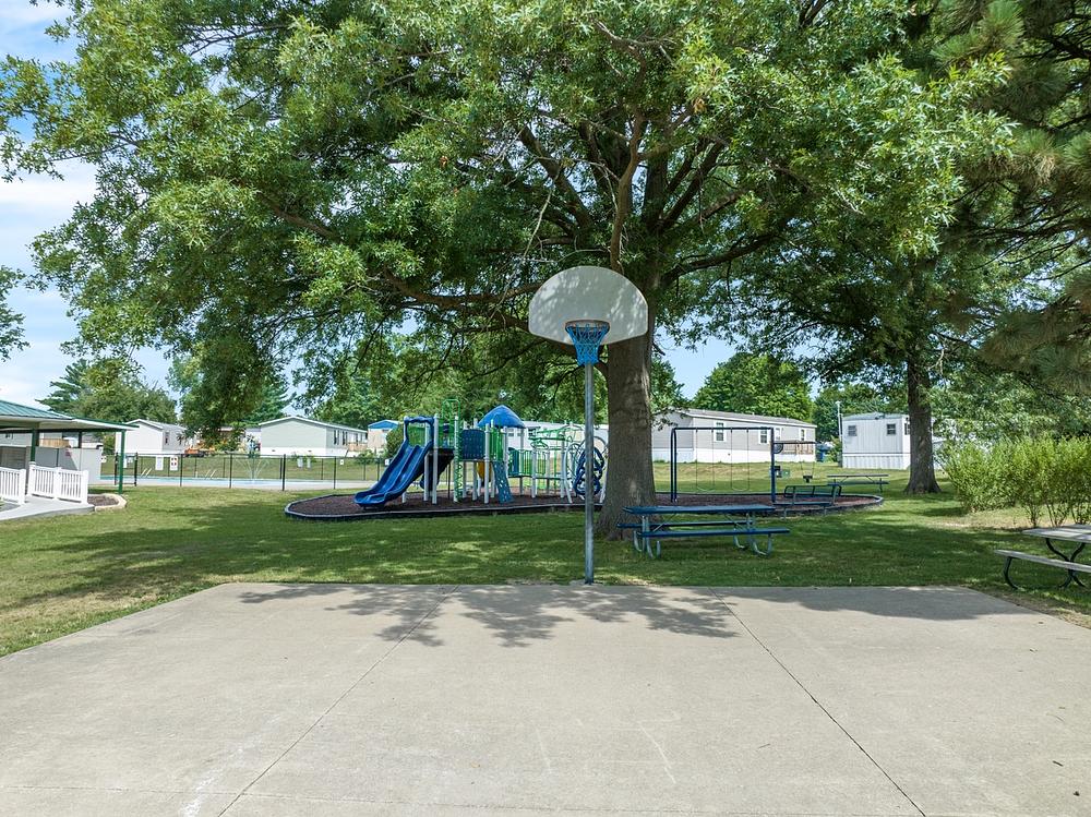 Basketball Court 2 (1)