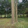 Mobile Home for Sale: 3 Bed 2 Bath 1998 Mobile Home